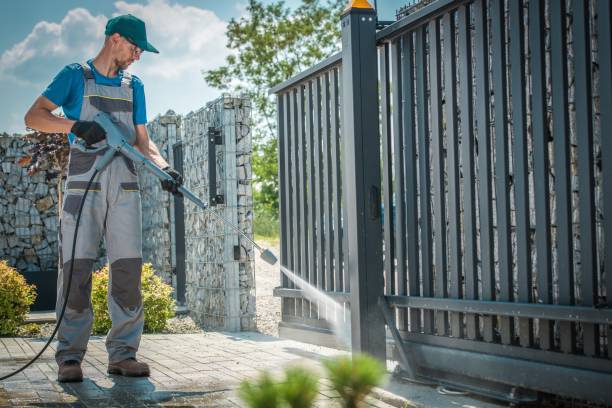 Best Rust Removal  in Gibson City, IL