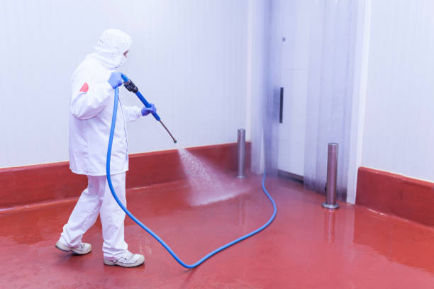 Best Sidewalk and Walkway Cleaning  in Gibson City, IL